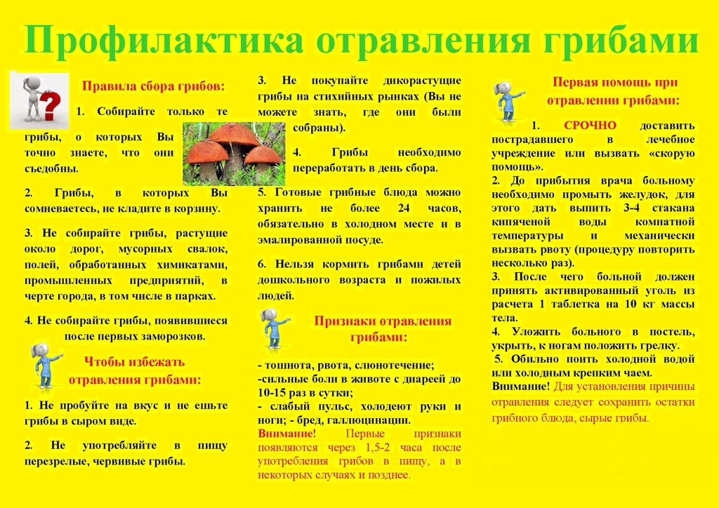 Буклет грибы.jpg Буклет грибы.jpg